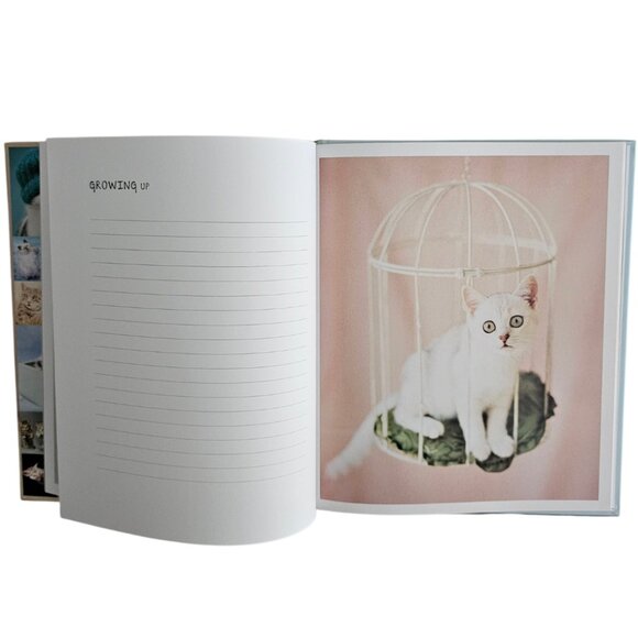 My Cat Record Book By Rachael Hale | Hardcover | NWT | Brown Red - Picture 10 of 16